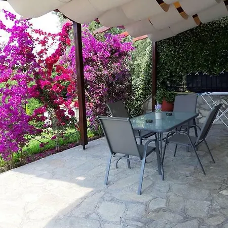 Ianos Apartment Nea Skioni