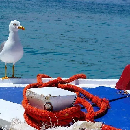 Ianos アパート *