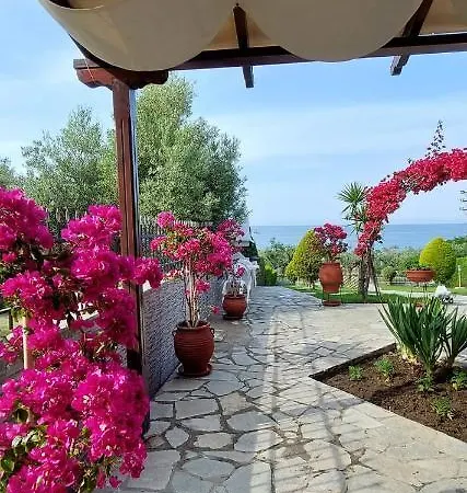 Ianos ネア・スキオニ