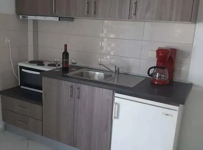 Ianos Appartement Nea Skioni